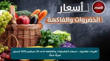 تغيرات مفاجئة.. أسعار الخضراوات والفاكهة الأحد 28 سبتمبر 2025 تسجل تحركًا لافتًا